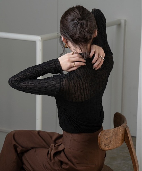 Amiur（エミレ）の「nuance sheer high neck（その他トップス・レディース・ブラック/ブラウン/アイボリー・FREE）」の7枚目の写真