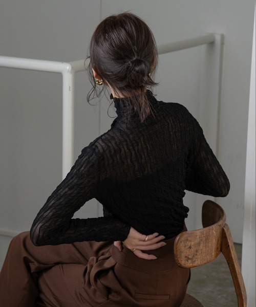 Amiur（エミレ）の「nuance sheer high neck（その他トップス・レディース・ブラック/ブラウン/アイボリー・FREE）」の6枚目の写真