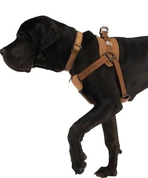 新品 Carhartt ハーネス ブラウンL Amazon | Carhartt(カーハート) ナイロンダック 引っ張り不要 犬