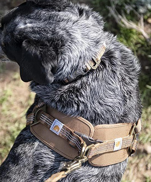 Carhartt（カーハート）の「Carhartt カーハート トレーニング