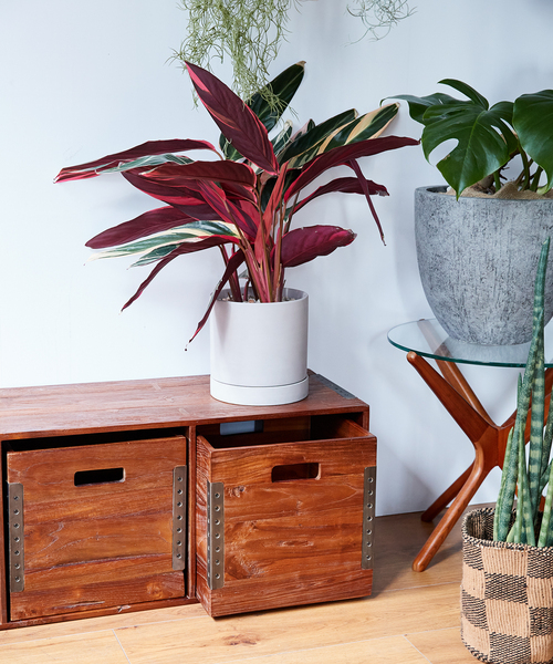 セール】TROY BOX L トロイボックス（収納グッズ）｜ACME FURNITURE