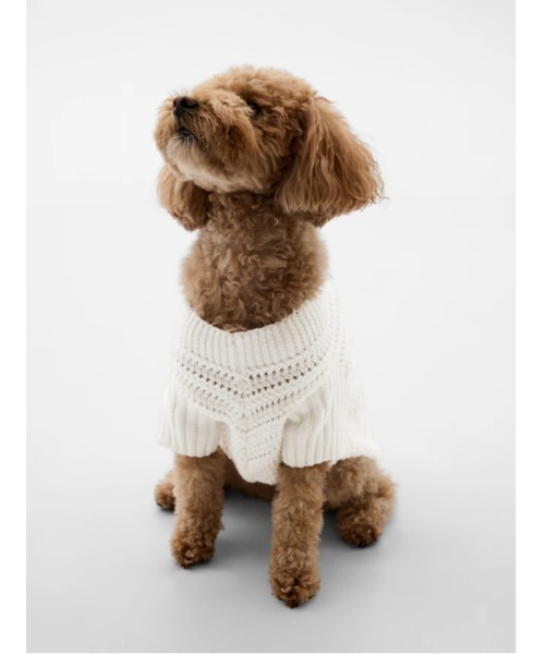 ★WARE OF THE DOG セーター③未着用　犬服¥12100 ☆WARE OF THE DOG セーター③未着用 犬服¥12100