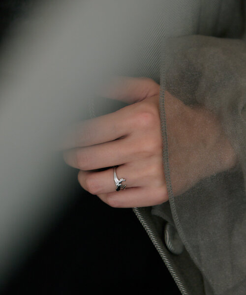 ear PAPILLONNER（イアパピヨネ）の「《WEB限定》ティラノザウルスリング（リング・レディース・シルバー/ゴールド・ONE SIZE）」の6枚目の写真