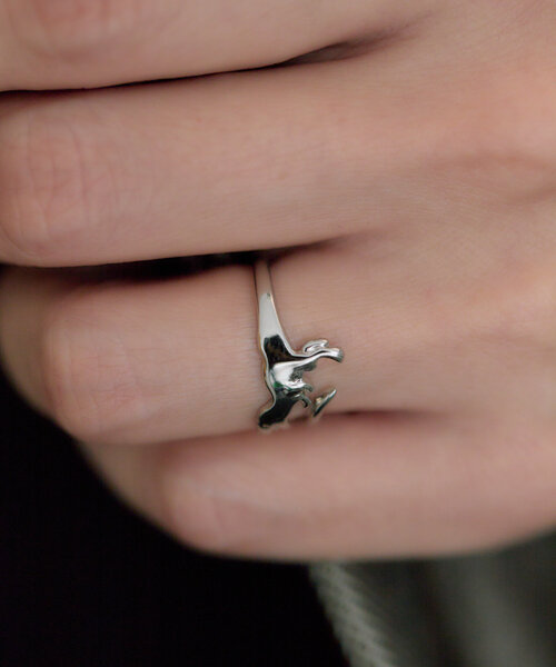 ear PAPILLONNER（イアパピヨネ）の「《WEB限定》ティラノザウルスリング（リング・レディース・シルバー/ゴールド・ONE SIZE）」の7枚目の写真