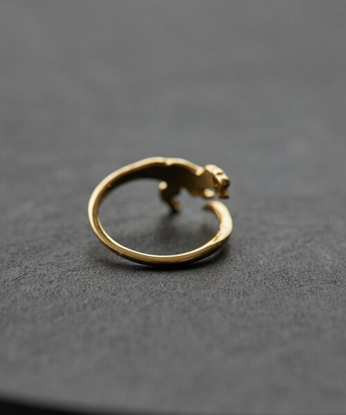 ear PAPILLONNER（イアパピヨネ）の「《WEB限定》ティラノザウルスリング（リング・レディース・シルバー/ゴールド・ONE SIZE）」の10枚目の写真