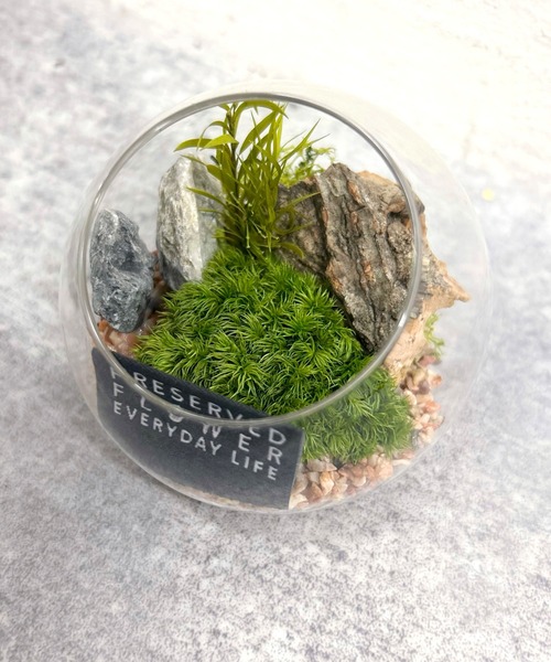 暮らしに森の癒しをひと匙。机上に映える小さな箱庭グリーンオブジェの