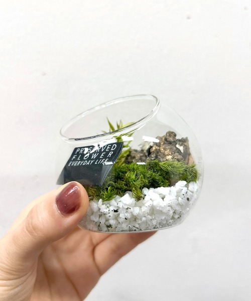 ‼️苔テラリウム　石付きオブジェ　インテリア　苔オブジェ 暮らしに森の癒しをひと匙。机上に映える小さな箱庭グリーンオブジェの
