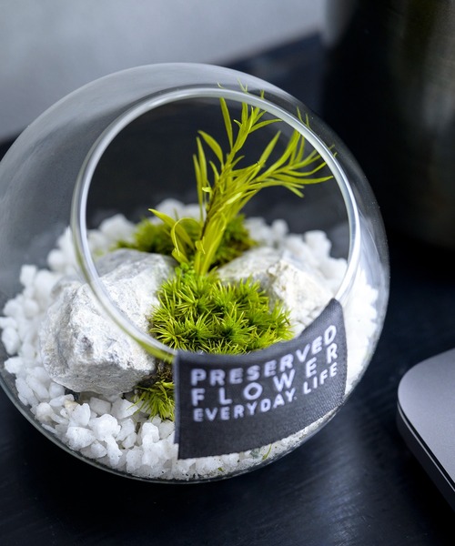 暮らしに森の癒しをひと匙。机上に映える小さな箱庭グリーンオブジェの