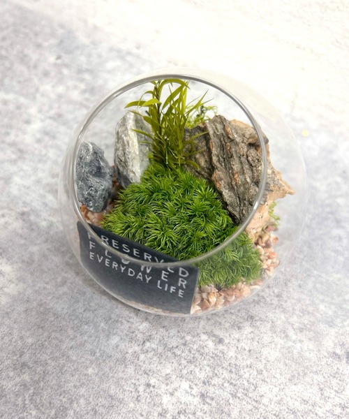 暮らしに森の癒しをひと匙。机上に映える小さな箱庭グリーンオブジェの