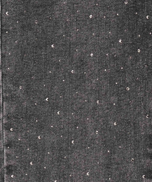 3.3 Field Trip （3.3フィールドトリップ）の「3.3 Field Trip／キラキラフレアデニムパンツ（デニムパンツ・レディース・ブルー/ブラック・FREE）」の17枚目の写真