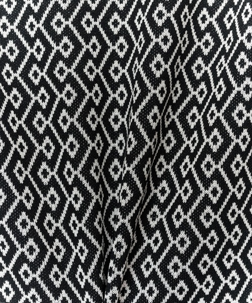 AULA AILA（アウラアイラ）の「2WAYジャガードスリーブレスニット（ベスト・レディース・レッド/ブルー/パープル/ブラック・0）」の7枚目の写真