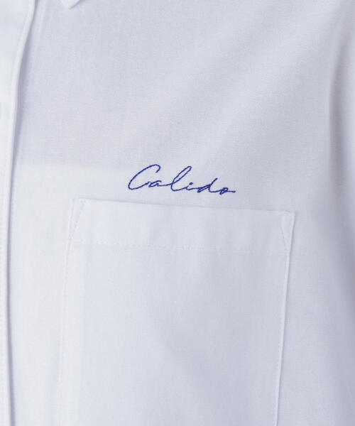 N.（N. Natural Beauty Basic）（エヌエヌナチュラルビューティーベーシック）の「刺繍オックスフォードシャツ（シャツ/ブラウス・レディース・ピンク/パープル/オフホワイト/ブルー・ﾌﾘ-）」の11枚目の写真