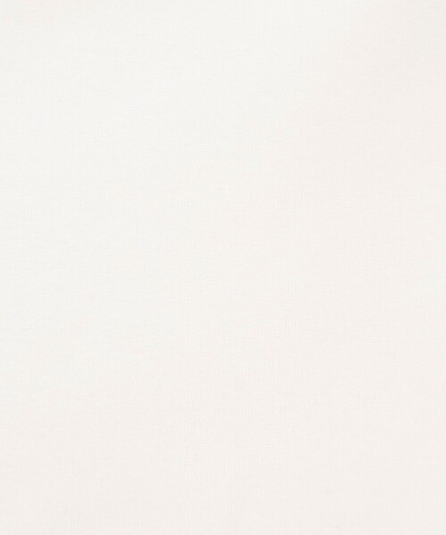 NOLLEY’S（ノーリーズ）の「【WEB限定】ウォッシャブルハートネックカットソー（Tシャツ/カットソー・レディース・ネイビー/オフホワイト/レッド・FREE）」の18枚目の写真