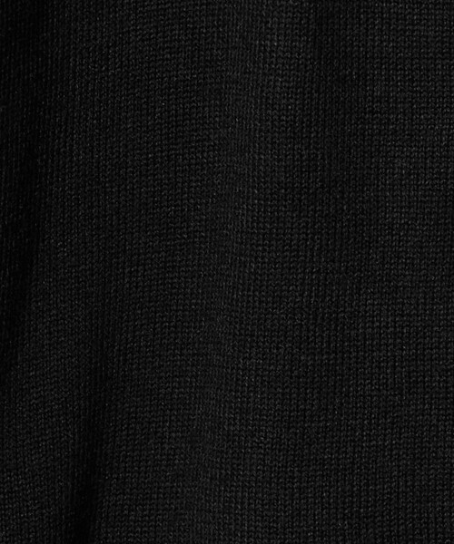 A DAY IN THE LIFE UNITED ARROWS(アデイインザライフユナイテッドアローズ)の「テンジク フェイクパールボタン キーネックニット <A DAY IN THE LIFE>(ニット/セーター・レディース・ライトグレー/ブラック/ダークグレー/コバルトブルー・FREE)」の19枚目の写真