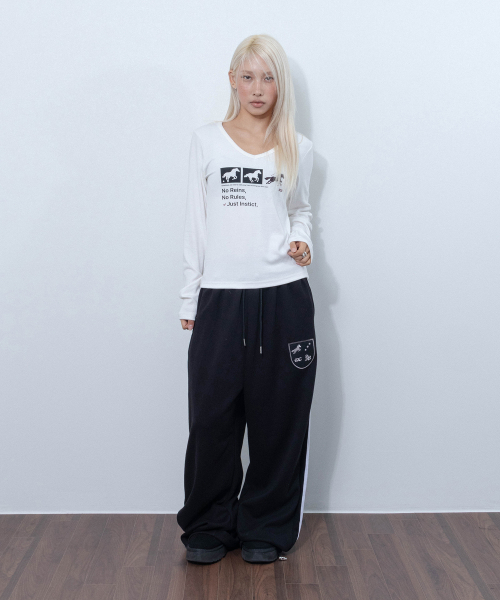 CHICKS(チックス)の「インスティンクト ドット ホース Vネック スリム長袖 Tシャツ ホワイト(Tシャツ/カットソー・レディース・ホワイト・ONE SIZE)」の2枚目の写真