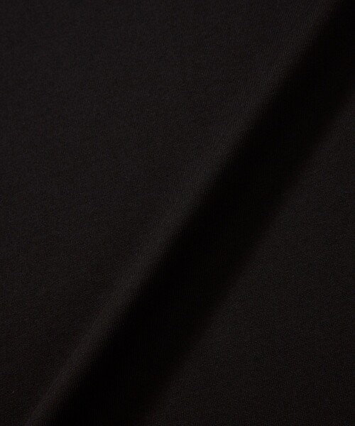 THE NORTH FACE（ザノースフェイス）の「THE NORTH FACE/ザノースフェイス S/S Historical Logo Tee / NT32407 / ショートスリーブヒストリカルロゴティー（Tシャツ/カットソー・メンズ・ブラック/グレー/ホワイト・X-LARGE/LARGE/MEDIUM）」の12枚目の写真