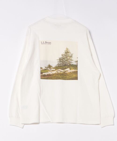 L.L.Bean(エルエルビーン)の「【JAPAN EDITION】ユニオン・カタログ・カバー・ロングスリーブ・ティ(Tシャツ/カットソー・メンズ・ホワイト/ライトグレー/グリーン系・MEDIUM/LARGE)」の20枚目の写真