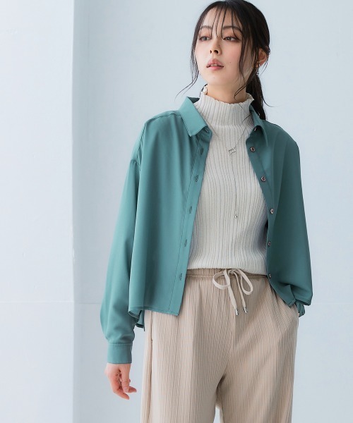 SMILE LAND（スマイルランド）の「＜大きいサイズ＞ シアーショート丈シャツ（吸汗速乾・防しわ）（シャツ/ブラウス・レディース・グリーン/ピンク/ブラウン系/ベージュ系・3L～4L/L～LL/5L～6L）」の4枚目の写真