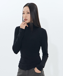Sleek warm Turtleneck (BLACK)