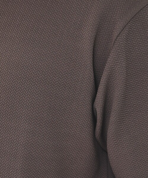 ABAHOUSE GRAY(アバハウスグレイ)の「【ヘリンボーン柄】ジャガード モックネック 半袖 Tシャツ(Tシャツ/カットソー・メンズ・ホワイト/ブラック/グレイッシュベージュ/ブラウン・46/48)」の16枚目の写真