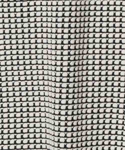 A DAY IN THE LIFE UNITED ARROWS(アデイインザライフユナイテッドアローズ)の「2トーン ワッフル プルオーバー <A DAY IN THE LIFE>(Tシャツ/カットソー・レディース・ライトグレー/ダークグレー/ケリーグリーン/ロイヤルブルー・FREE)」の13枚目の写真