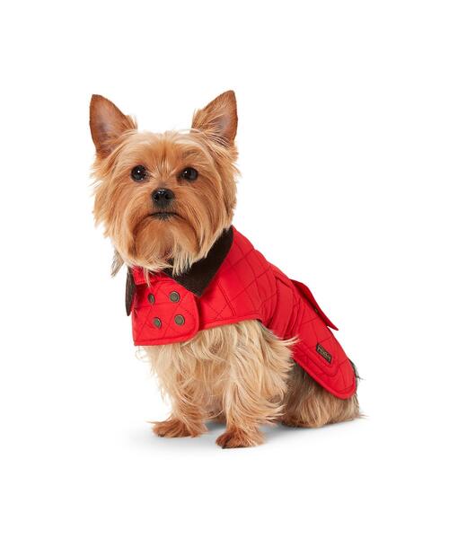 フリースラインド ドッグ バーンジャケット