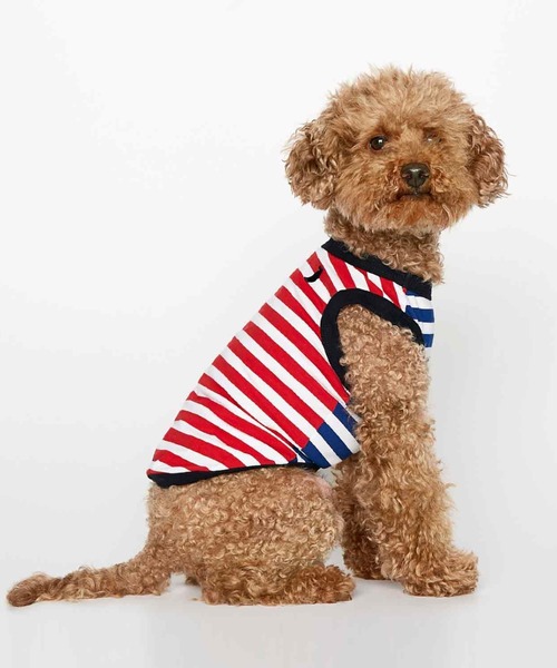 THE PAINTER'S WIFE(ザペインターズワイフ)の「DANIEL ORGANIC COTTON DOG BODYSUIT(ペットウェア・メンズ・ブルー/エメラルド・XS/S/M/L)」の2枚目の写真