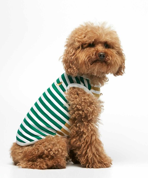 THE PAINTER'S WIFE(ザペインターズワイフ)の「DANIEL ORGANIC COTTON DOG BODYSUIT(ペットウェア・メンズ・ブルー/エメラルド・XS/S/M/L)」の1枚目の写真