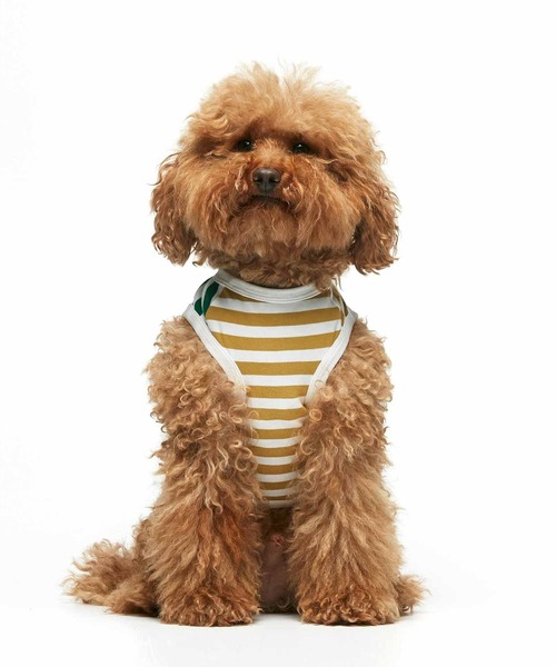 THE PAINTER'S WIFE(ザペインターズワイフ)の「DANIEL ORGANIC COTTON DOG BODYSUIT(ペットウェア・メンズ・ブルー/エメラルド・XS/S/M/L)」の9枚目の写真