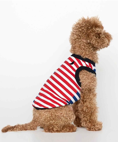 THE PAINTER'S WIFE(ザペインターズワイフ)の「DANIEL ORGANIC COTTON DOG BODYSUIT(ペットウェア・メンズ・ブルー/エメラルド・XS/S/M/L)」の8枚目の写真