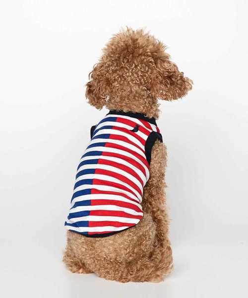 THE PAINTER'S WIFE(ザペインターズワイフ)の「DANIEL ORGANIC COTTON DOG BODYSUIT(ペットウェア・メンズ・ブルー/エメラルド・XS/S/M/L)」の7枚目の写真