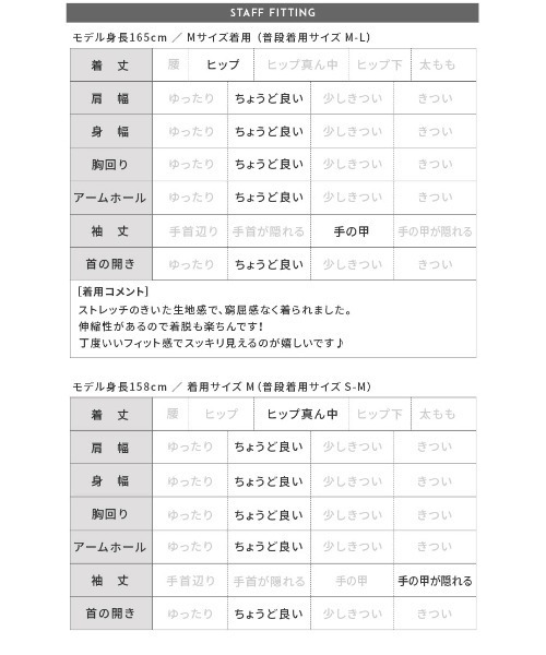 reca(レカ)の「フロッキーメッシュトップス(Tシャツ/カットソー・レディース・ブラック/オフホワイト/グレー/ブルー・M)」の14枚目の写真