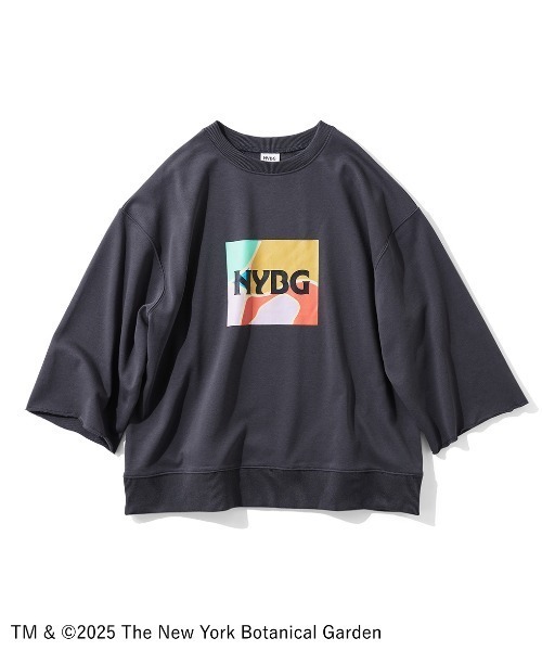 IEDIT(イディット)の「ニューヨークボタニカルガーデン×IEDIT グラフィックアートを楽しむトップス(Tシャツ/カットソー・レディース・スミクロ/グレー・M/L/LL/3L/4L)」の1枚目の写真
