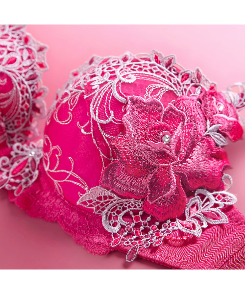 優美で絢爛に魅せる 010series】HIMICO Ammirare Rosa ブラ