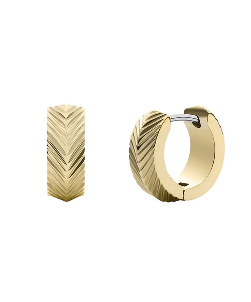 FOSSIL(フォッシル)の「フォッシル アクセサリー レディース ピアス JF04116710(ピアス(両耳用)・レディース・ゴールド・FREE)」の13枚目の写真