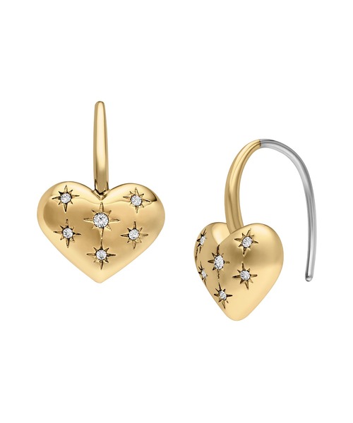 FOSSIL（フォッシル）の「フォッシル アクセサリー レディース ピアス ゴールド JF04833710（イヤリング・レディース・GOLD・FREE）」の2枚目の写真