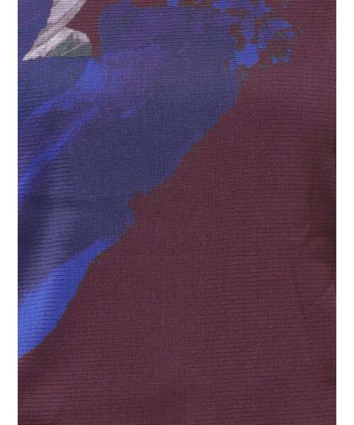 オーレグリントスキンカットソー（Tシャツ/カットソー）｜ELENDEEK