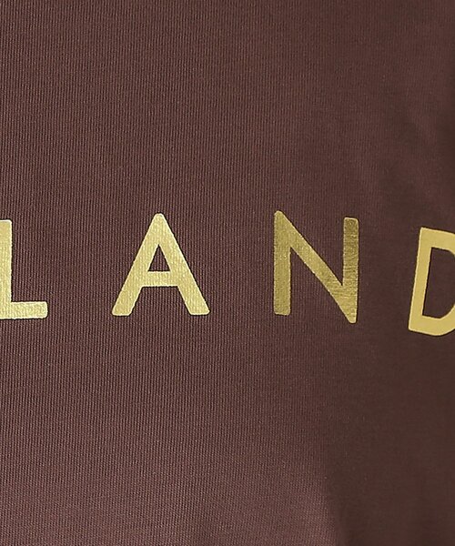 DRESSTERIOR（ドレステリア）の「20／1シルケット風天竺Tシャツ（Tシャツ/カットソー・レディース・ブラック/ダークブラウン/チャコールグレー/オフホワイト・38/36/34）」の7枚目の写真