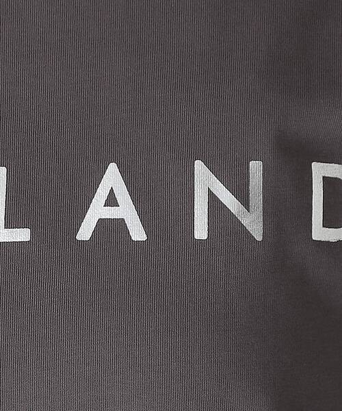 DRESSTERIOR（ドレステリア）の「20／1シルケット風天竺Tシャツ（Tシャツ/カットソー・レディース・ブラック/ダークブラウン/チャコールグレー/オフホワイト・38/36/34）」の17枚目の写真