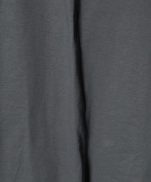 Lifewear(ライフウェア)の「<LIFEWEAR> 5.5oz SSL TEE/Tシャツ(Tシャツ/カットソー・メンズ・ダークグレー/パープル/ロイヤルブルー・XL/L)」の8枚目の写真