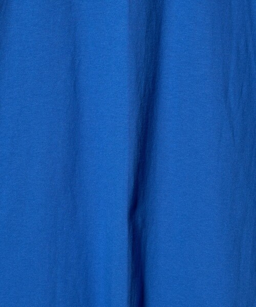 Lifewear(ライフウェア)の「<LIFEWEAR> 5.5oz SSL TEE/Tシャツ(Tシャツ/カットソー・メンズ・ダークグレー/パープル/ロイヤルブルー・XL/L)」の10枚目の写真
