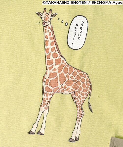 BREEZE(ブリーズ)の「/ざんねんないきもの事典コラボTシャツ(Tシャツ/カットソー・キッズ・イエロー/オレンジ/ブルー/エメラルド/アイボリー・100/110/120/140/80/130/90)」の16枚目の写真