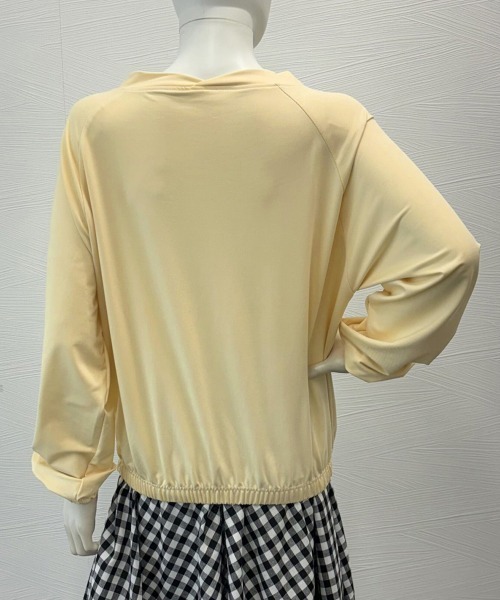 Miniministore（ミニミニストア）の「Vネック 着やせ 長袖プルオーバー 無地（Tシャツ/カットソー・レディース・ライトイエロー/ブラック/イエロー・FREE）」の16枚目の写真