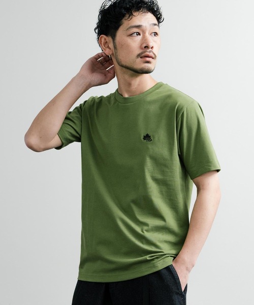 【 】半袖 ロゴ Tシャツ グリーン / 送料無料 Kawasaki カワサキ 半袖Tシャツ EU Mサイズ ブラック ライム