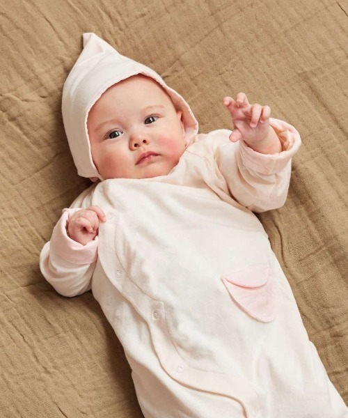 三条実美【識：川上操六】書 絹本 掛軸 識箱（三つ葉葵）葵紋