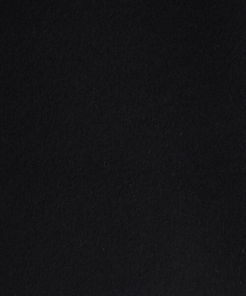 DRESSTERIOR（ドレステリア）の「【SUPER140’sウール】メルトン ステンカラーコート（ステンカラーコート・メンズ・ブラック・92/90/91）」の21枚目の写真