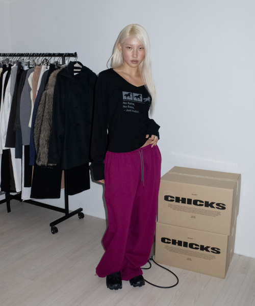 CHICKS(チックス)の「インスティンクト ドット ホース Vネック スリム 長袖 Tシャツ ブラック(Tシャツ/カットソー・レディース・ブラック・ONE SIZE)」の2枚目の写真