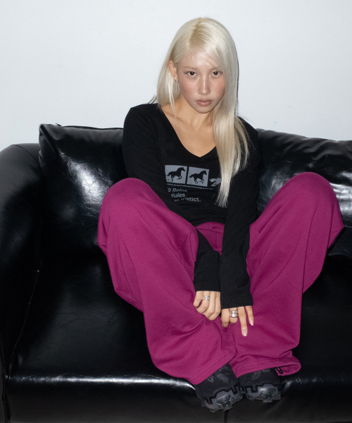CHICKS(チックス)の「インスティンクト ドット ホース Vネック スリム 長袖 Tシャツ ブラック(Tシャツ/カットソー・レディース・ブラック・ONE SIZE)」の4枚目の写真