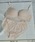 izumi BODY LABO�i�C�Y�~�{�f�B���{�j�́uT�V���c�ɂ����y���Ƃ����J�b�v���A�E�^�[�ɂЂт��ɂ����z�ۋ����ƃm�����C���[�u���V���[�c�Z�b�g�i�u��&�V���[�c�j�v�b���C�g�x�[�W��