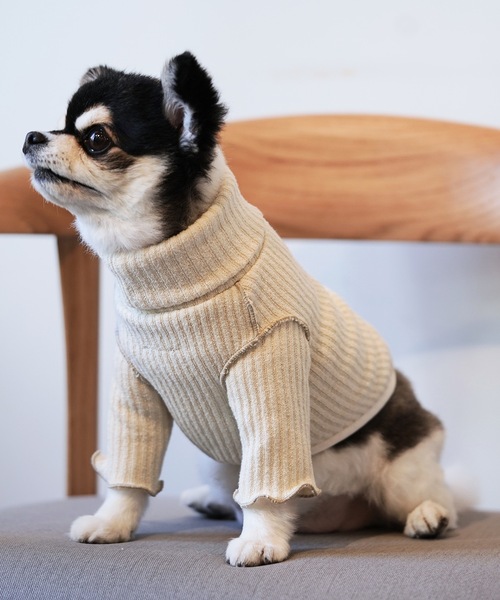 美品】ピンクハウス☆ドット柄ワンピース リボンコサージュ付き♪白系  